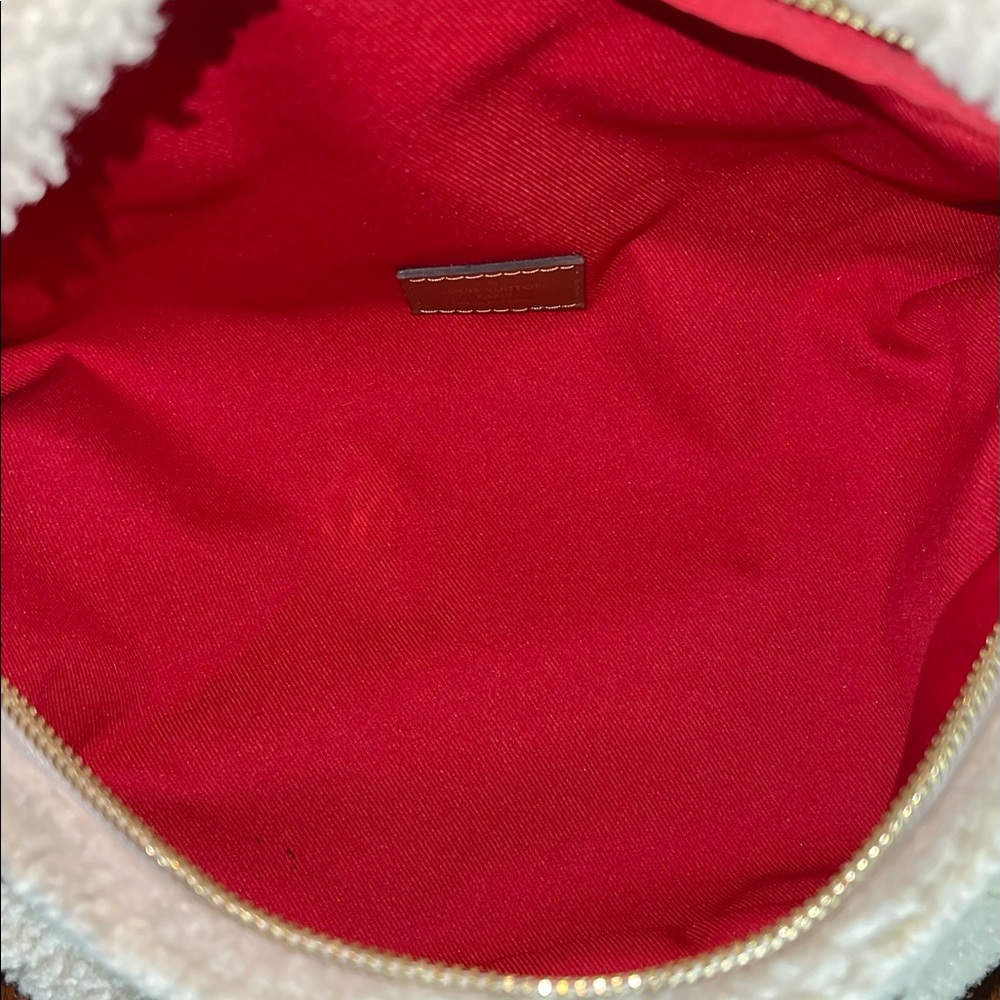 Louis Vuitton Teddy Mono Bumbag - Picture 8 of 13